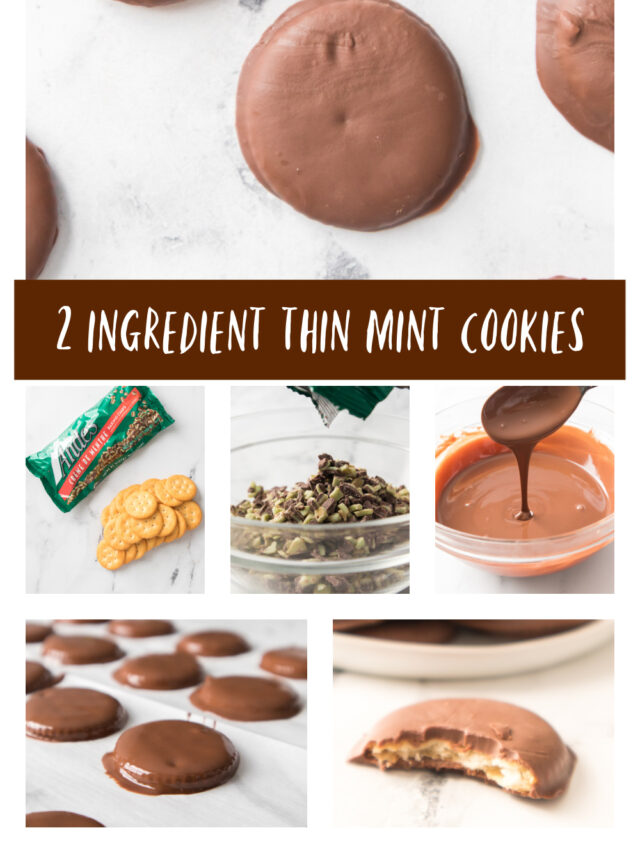 cropped-thin-mint-cookies-pinterest-image.jpg